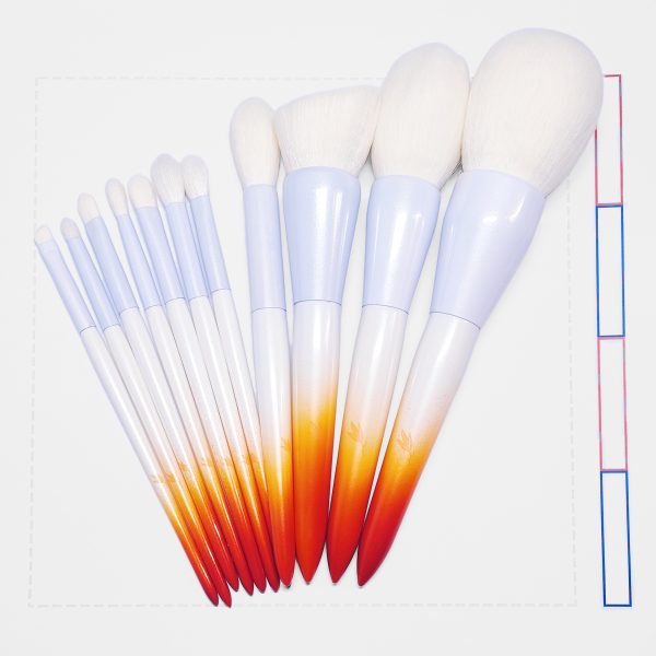 Shuangran 11pcs Makeup Brush Set (霜染11支化妆师套装)