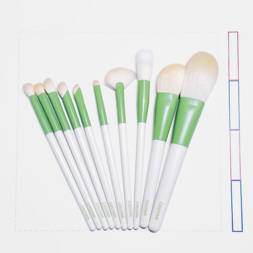 Xianlv 10pcs Makeup Brush Set (纤绿10支化妆刷套装)