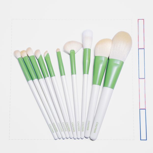 Xianlv 10pcs Makeup Brush Set (纤绿10支化妆刷套装)